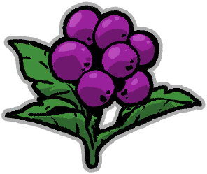 Healing Herb